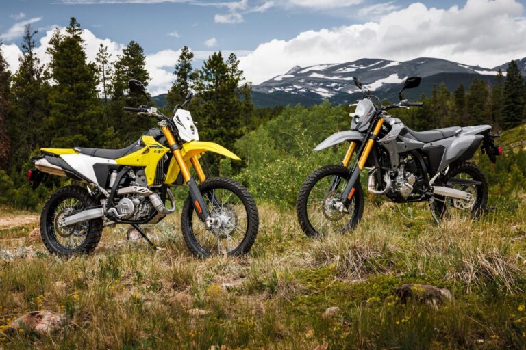 suzuki dr z4s