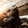 cropped tatianah le blog moto.png