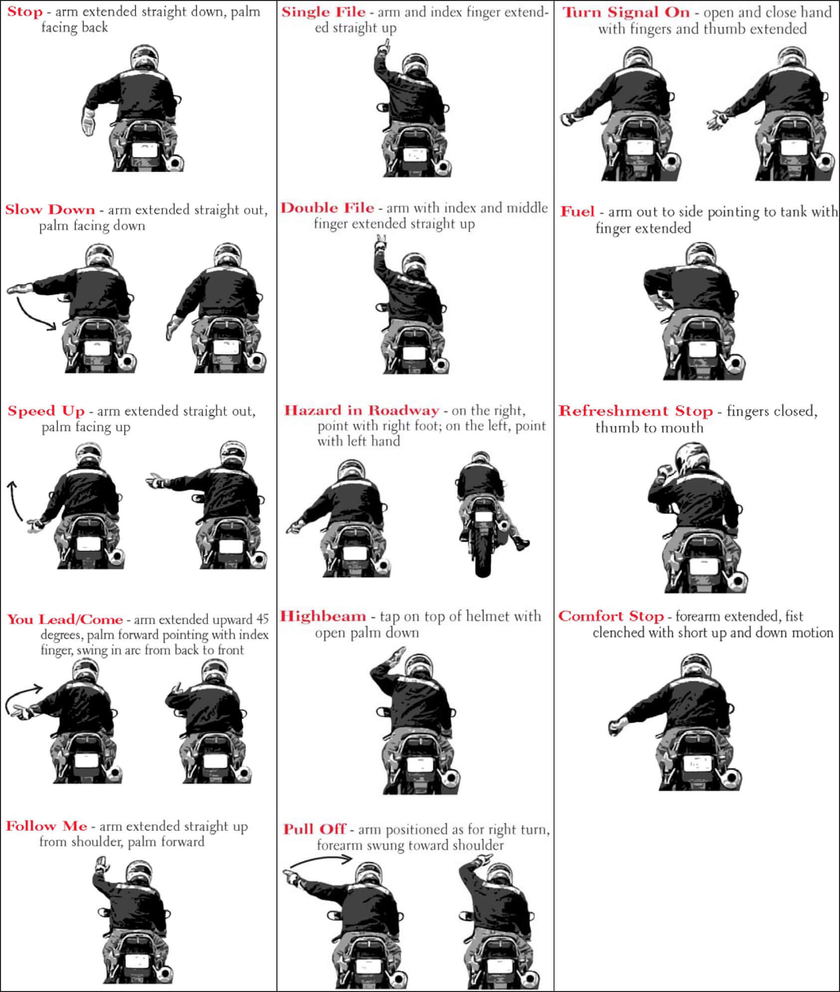 Description de l'infographie