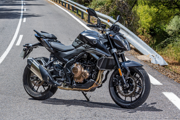 la voge 625 r arrive en france à prix serré et promet de séduire les motards en quête de performances accessibles