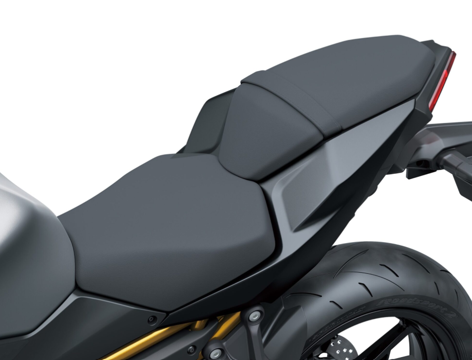 kawasaki dévoile la nouvelle z650 s 2026 et muscle son célèbre roadster mid size pour un pilotage plus sportif 17
