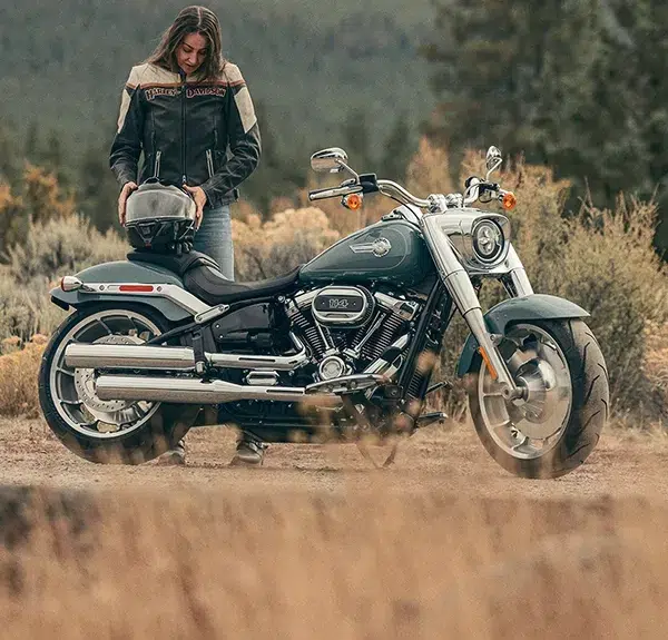 quel cruiser harley davidson pour quel profil de motard 2