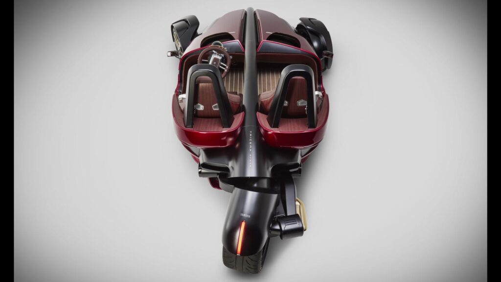tricera 1