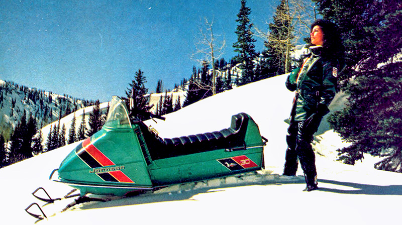 motoneige johnson skee horse turquoise