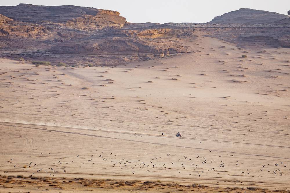 cet “enfant prodige” espagnol de 20 ans roule pour ktm, s’entraîne avec márquez et est en train de voler le dakar 2026 sous le nez des vétérans 8