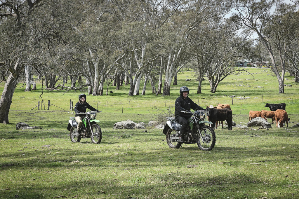 cette nouvelle kawasaki stockman de 233 cm³ ne dépassera jamais les 100 kmh, mais ces éleveurs d’australie se l’arrachent déjà 6